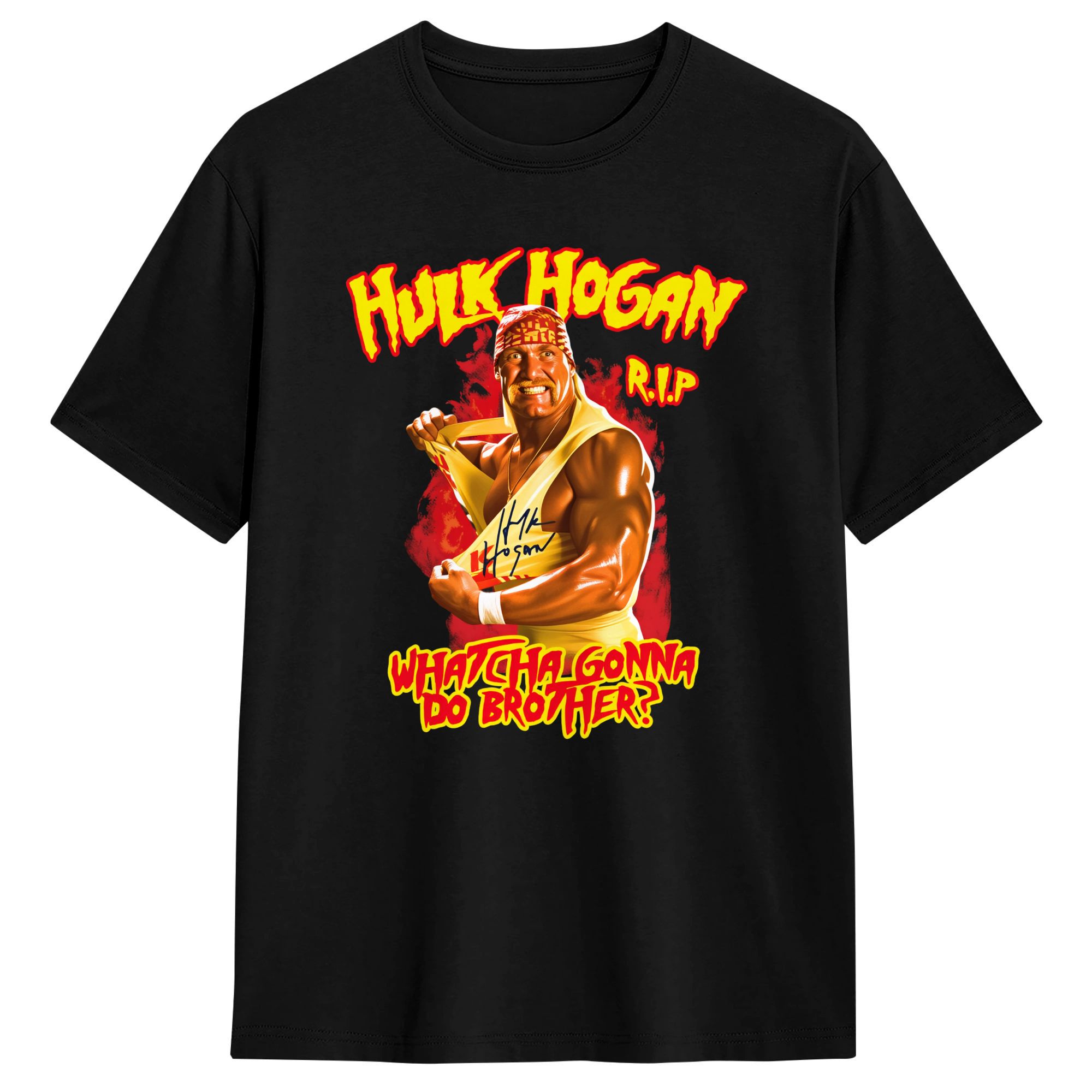 Classic RIP Hulk Hogan Print T - Men'S Fashion Aesthetics 评论和价格